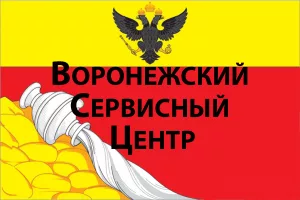 Логотип Воронежский Сервисный Центр